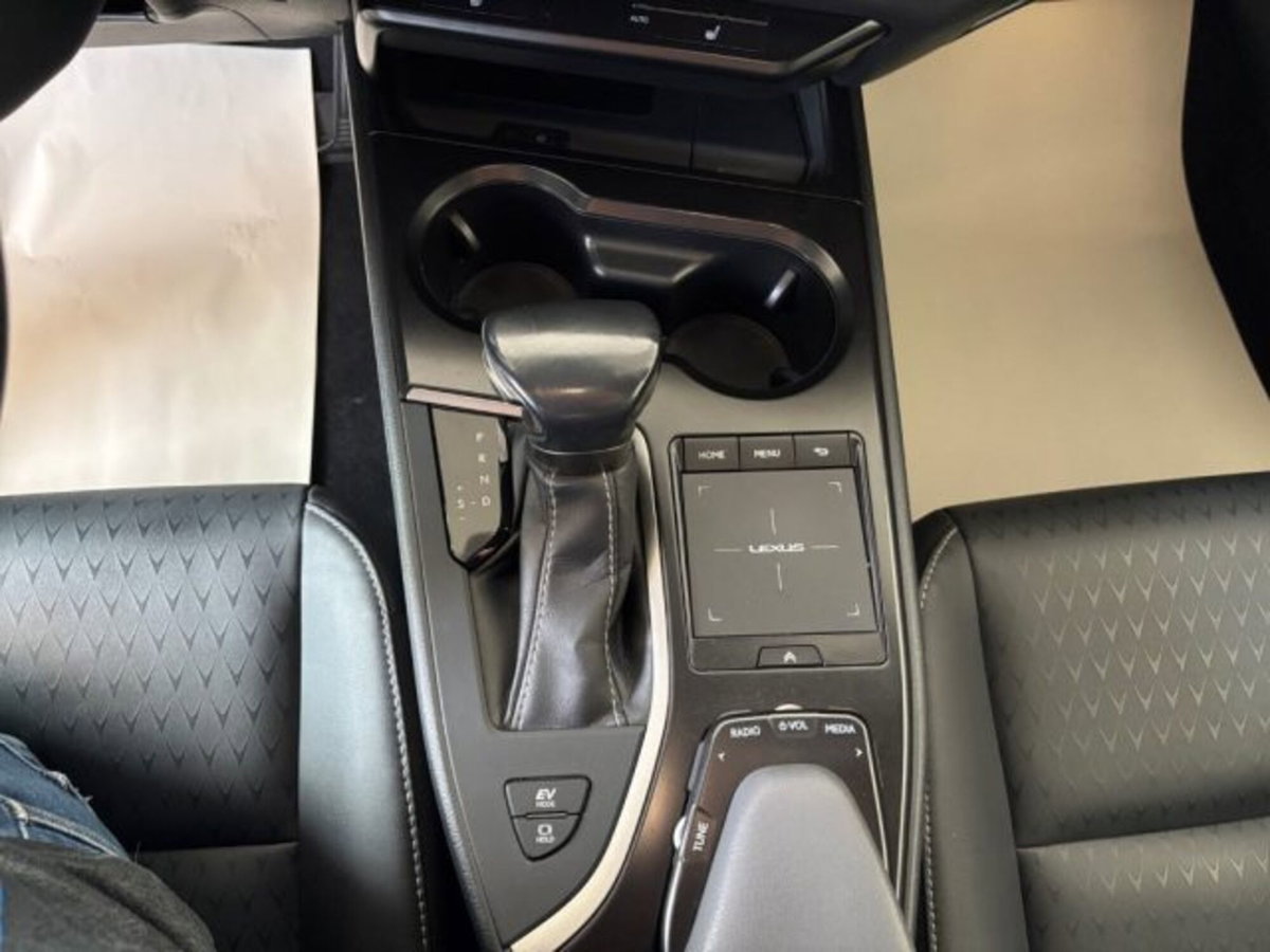 Lexus UX Hybrid 4WD Midnight (12)