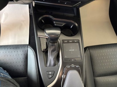 Lexus UX Hybrid 4WD Midnight (12)