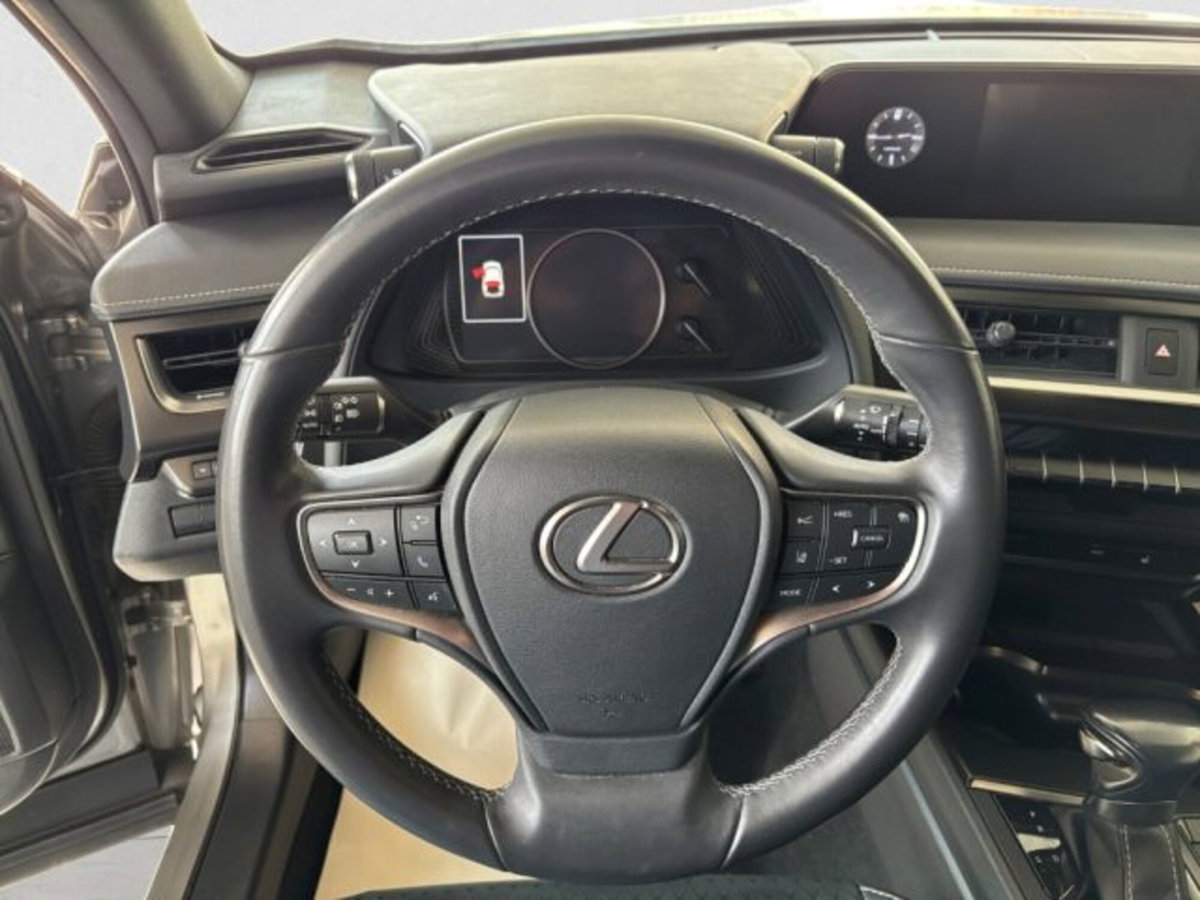 Lexus UX Hybrid 4WD Midnight (13)
