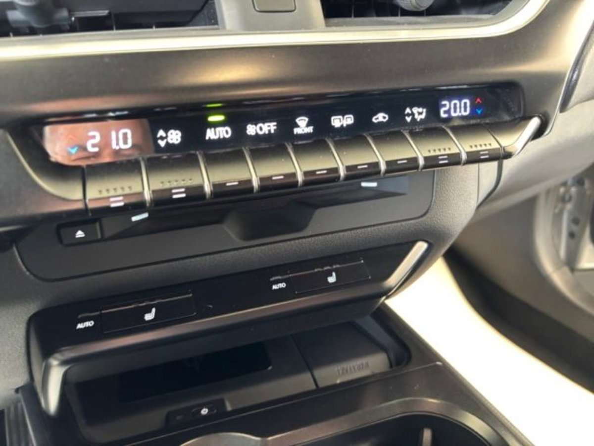 Lexus UX Hybrid 4WD Midnight (19)