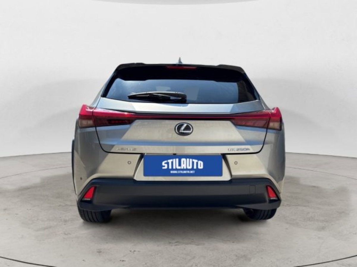 Lexus UX Hybrid 4WD Midnight (4)
