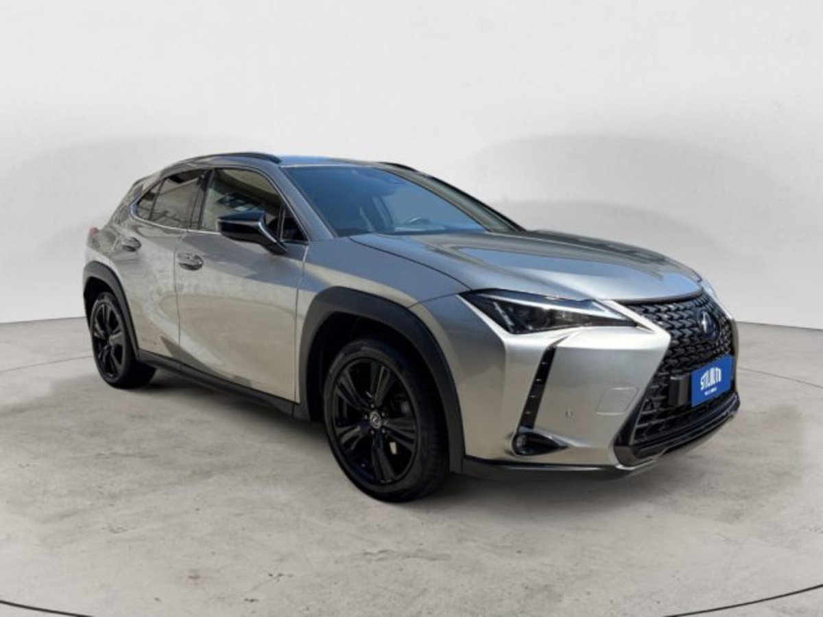 Lexus UX Hybrid 4WD Midnight (6)