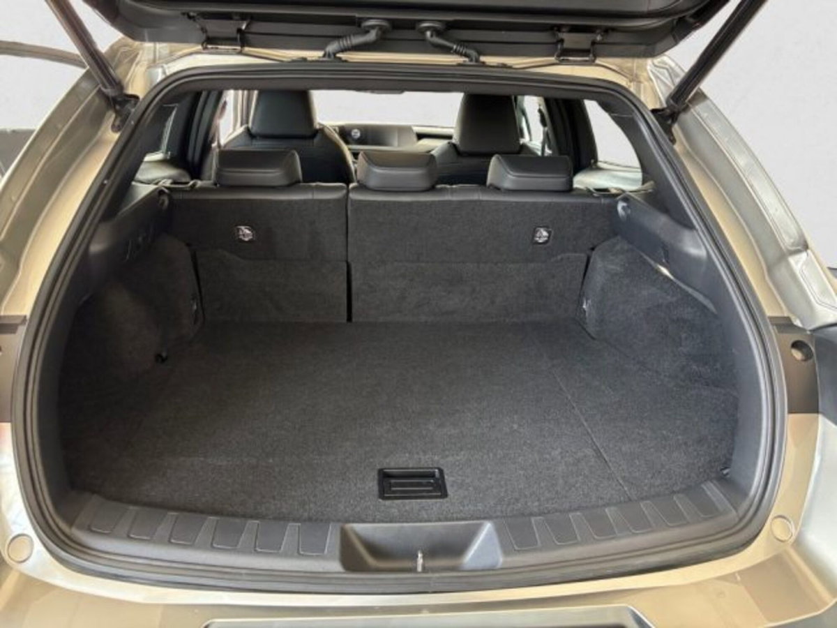 Lexus UX Hybrid 4WD Midnight (9)