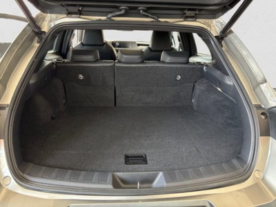 Lexus UX Hybrid 4WD Midnight (9)