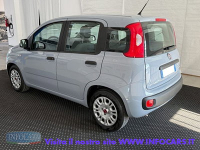 Fiat Panda 1.0 firefly hybrid s&s 70cv 5p.ti (2)