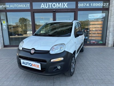 Fiat Panda 1.3 MJT S&S 4x4 (2)