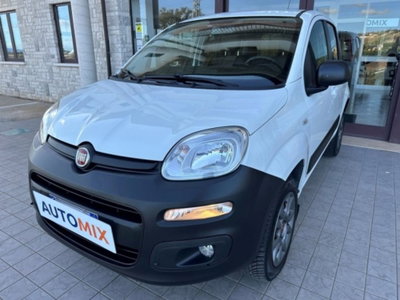 Fiat Panda 1.3 MJT S&S 4x4 (6)