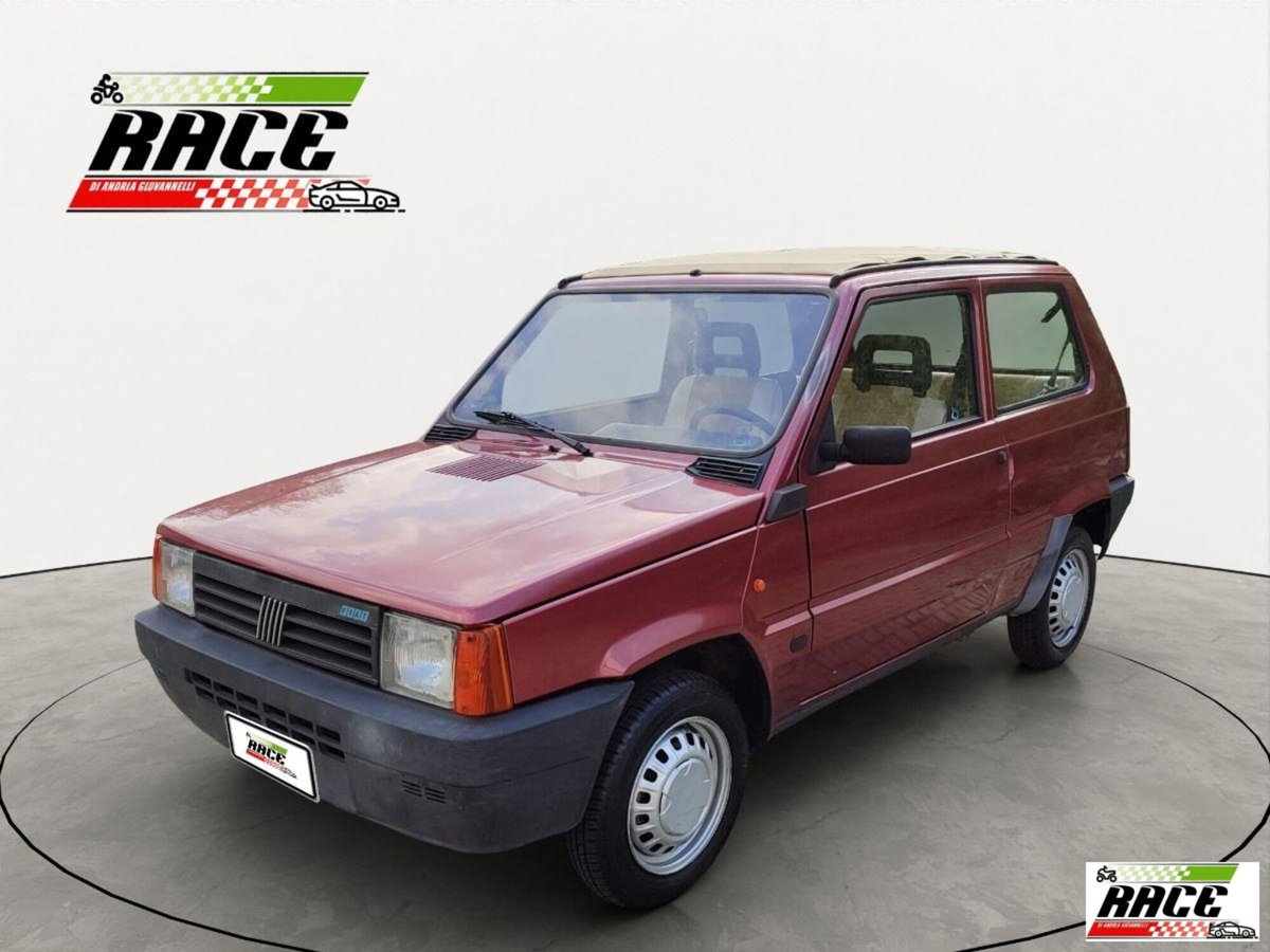 Fiat Panda 1000 i.e. cat 4x4