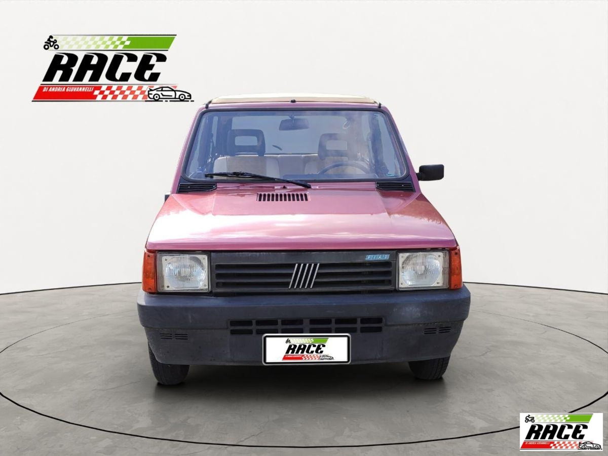 Fiat Panda 1000 i.e. cat 4x4 (2)