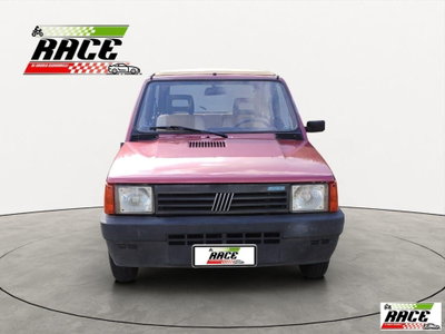Fiat Panda 1000 i.e. cat 4x4 (2)