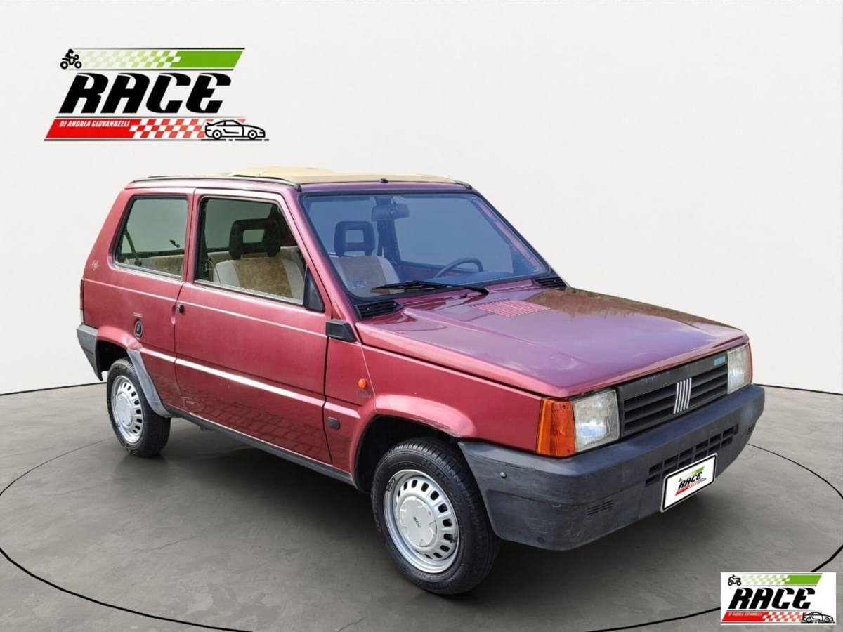 Fiat Panda 1000 i.e. cat 4x4 (8)