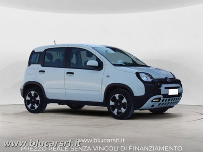Fiat Panda Cross 1.0 firefly hybrid Cross s&s 70cv 5p.ti (2)