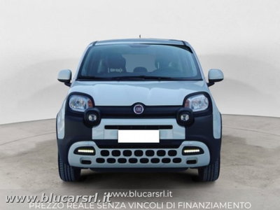 Fiat Panda Cross 1.0 firefly hybrid Cross s&s 70cv 5p.ti (3)