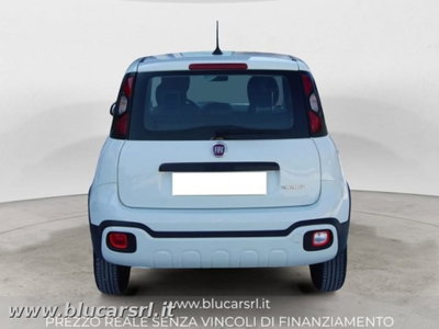 Fiat Panda Cross 1.0 firefly hybrid Cross s&s 70cv 5p.ti (4)