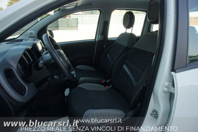 Fiat Panda Cross 1.0 firefly hybrid Cross s&s 70cv 5p.ti (5)
