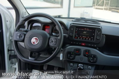 Fiat Panda Cross 1.0 firefly hybrid Cross s&s 70cv 5p.ti (7)