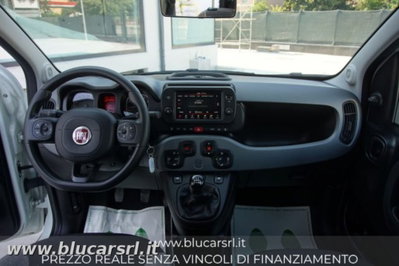 Fiat Panda Cross 1.0 firefly hybrid Cross s&s 70cv 5p.ti (8)