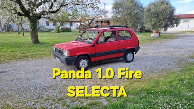 Fiat Panda 1100 i.e. cat Selecta usata