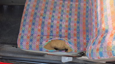 Fiat Panda 1100 i.e. cat Selecta (4)