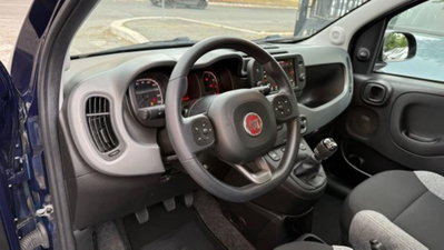 Fiat Panda 1.0 firefly hybrid s&s 70cv 5p.ti (19)