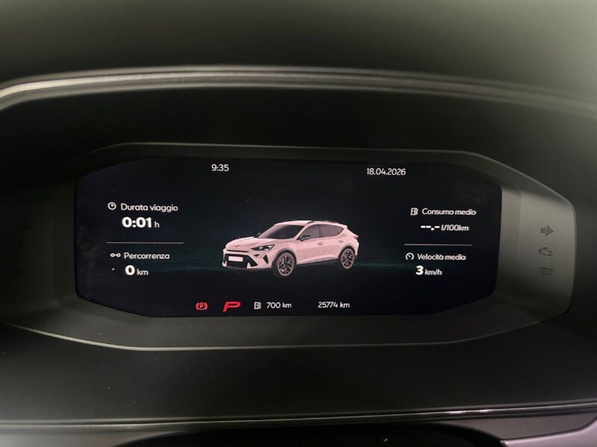 Cupra Formentor Formentor 2.0 TDI (11)