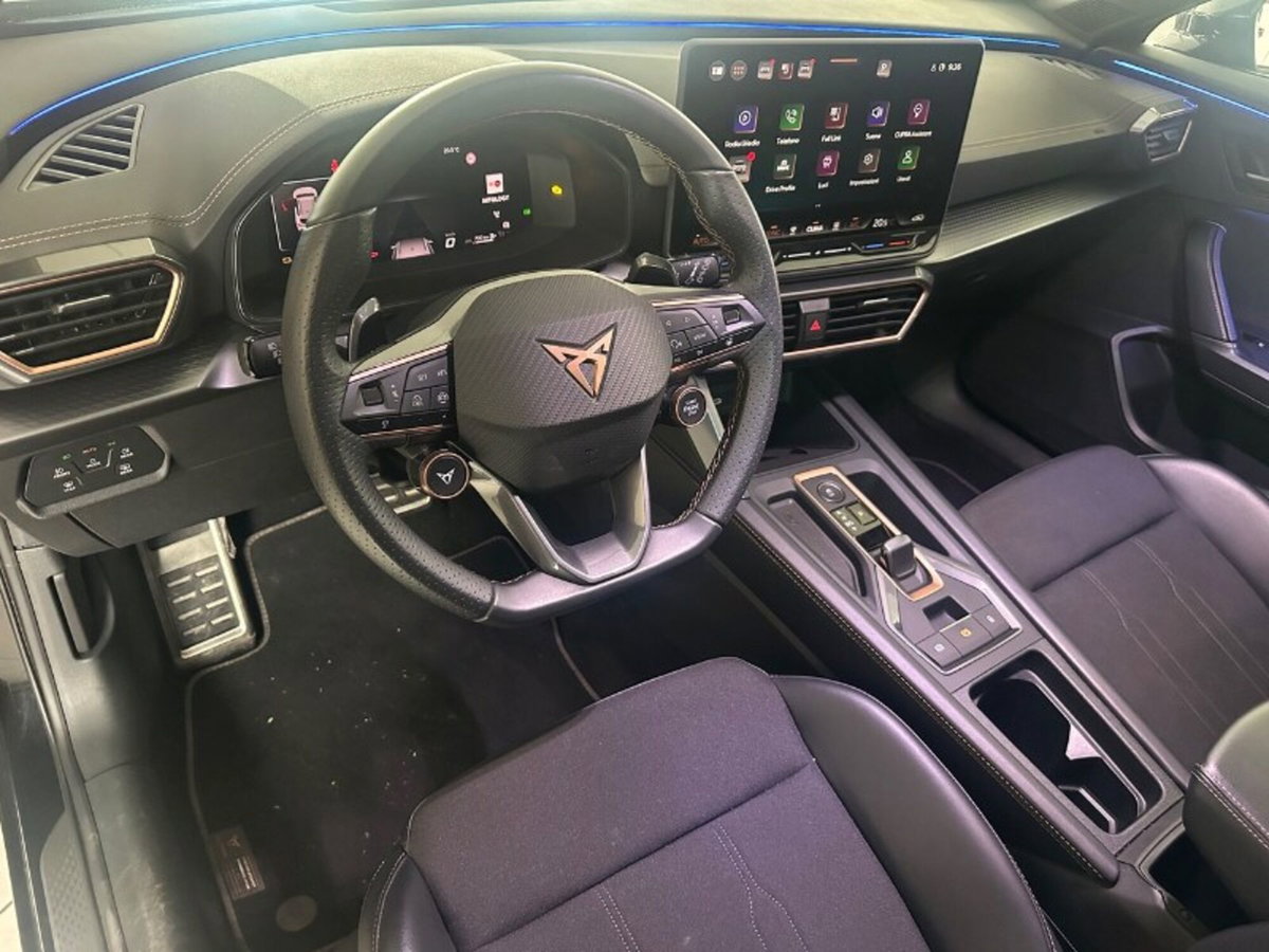 Cupra Formentor Formentor 2.0 TDI (12)