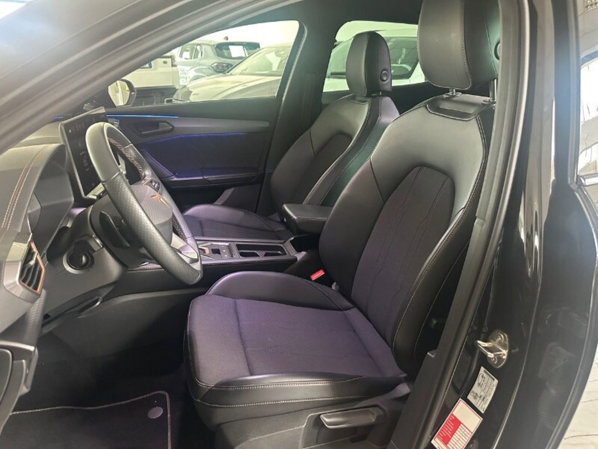 Cupra Formentor Formentor 2.0 TDI (13)