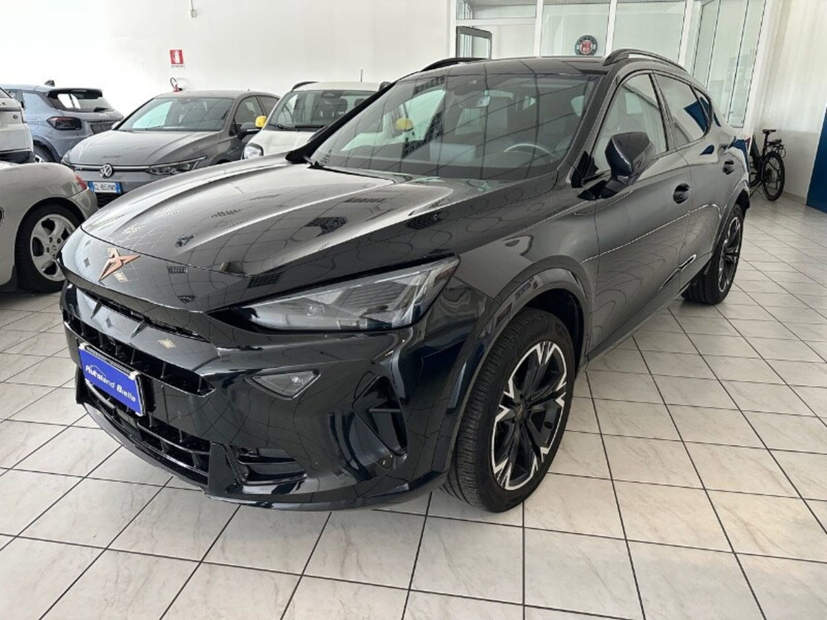 Cupra Formentor Formentor 2.0 TDI (3)
