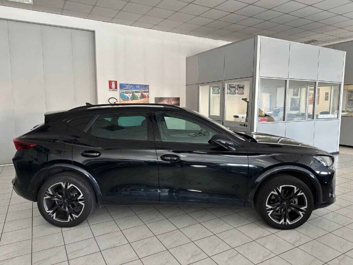 Cupra Formentor Formentor 2.0 TDI (6)