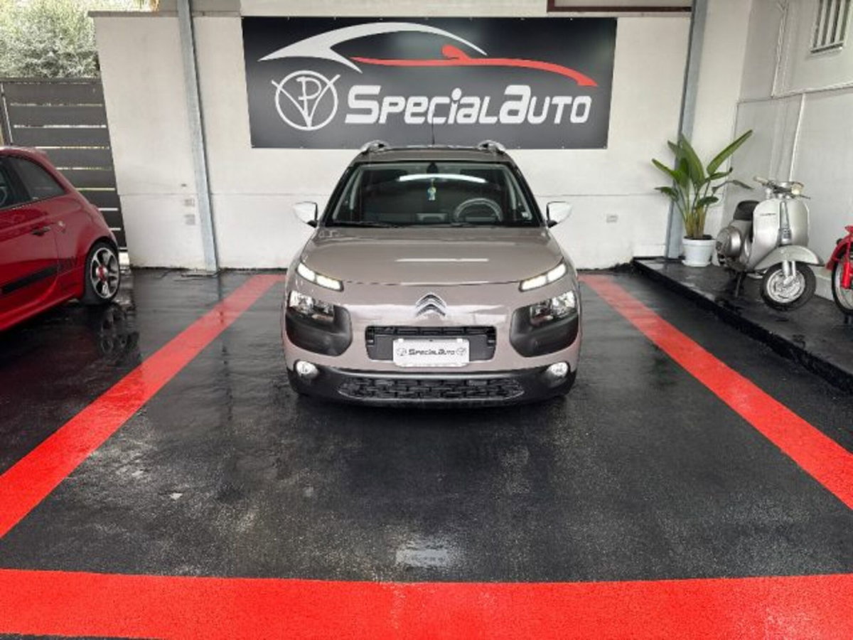 Citroen C4 Cactus BlueHDi 100 Rip Curl