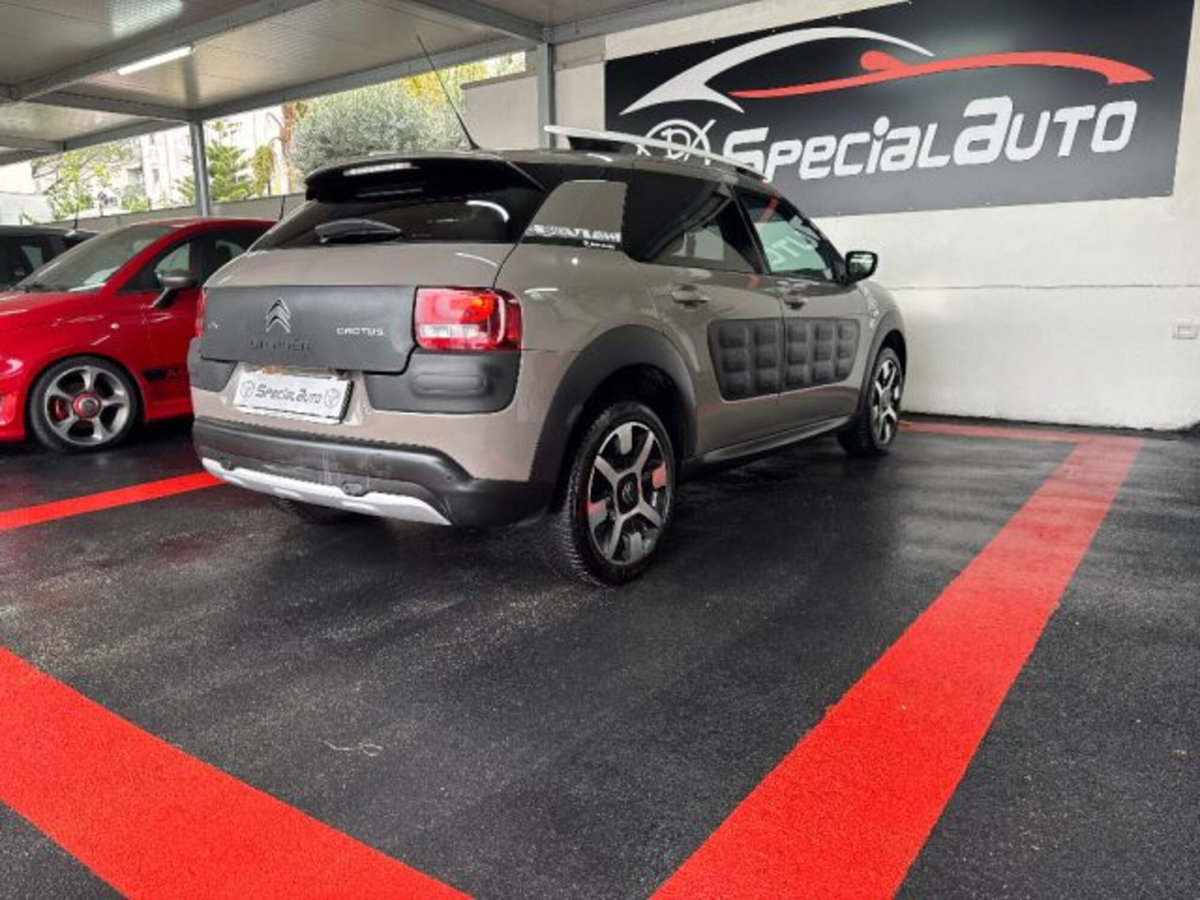 Citroen C4 Cactus BlueHDi 100 Rip Curl (10)