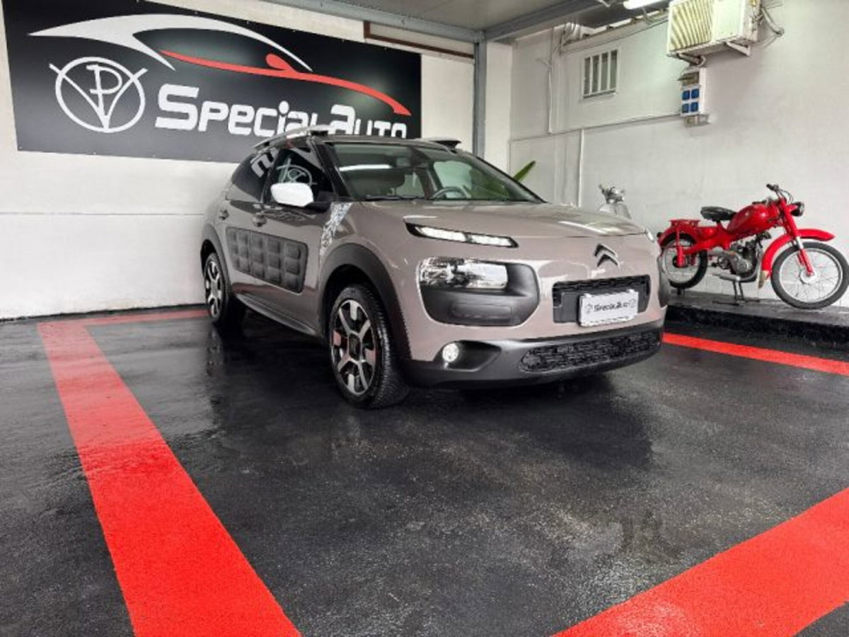 Citroen C4 Cactus BlueHDi 100 Rip Curl (11)