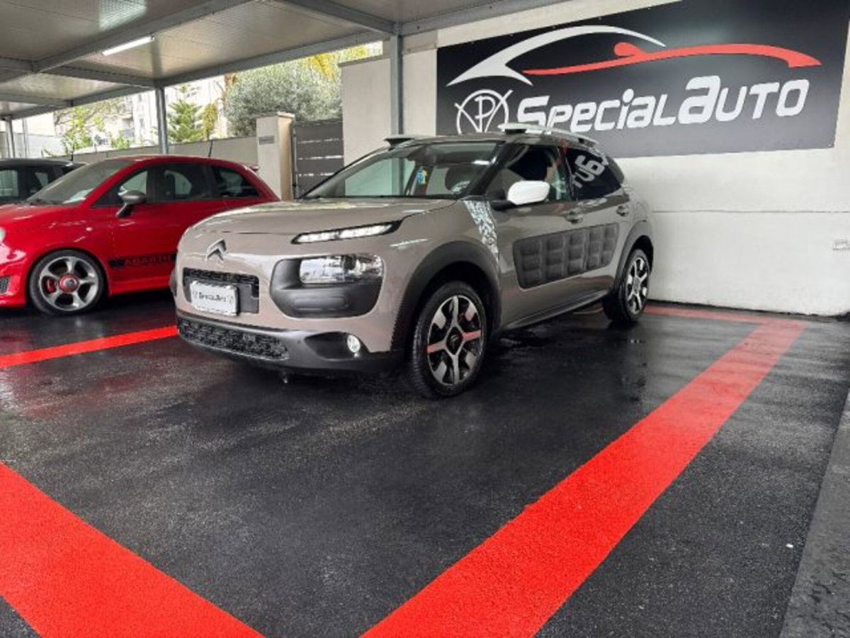 Citroen C4 Cactus BlueHDi 100 Rip Curl (12)