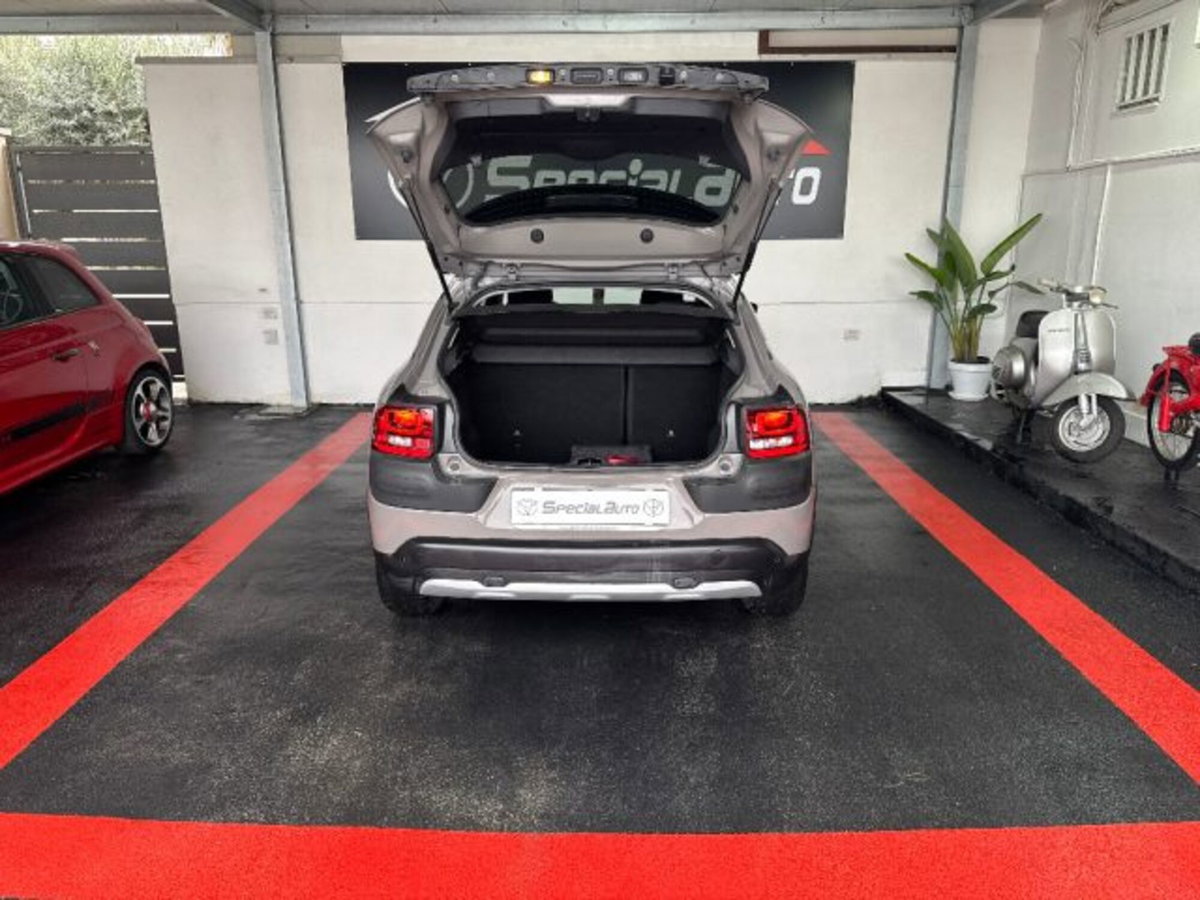 Citroen C4 Cactus BlueHDi 100 Rip Curl (13)