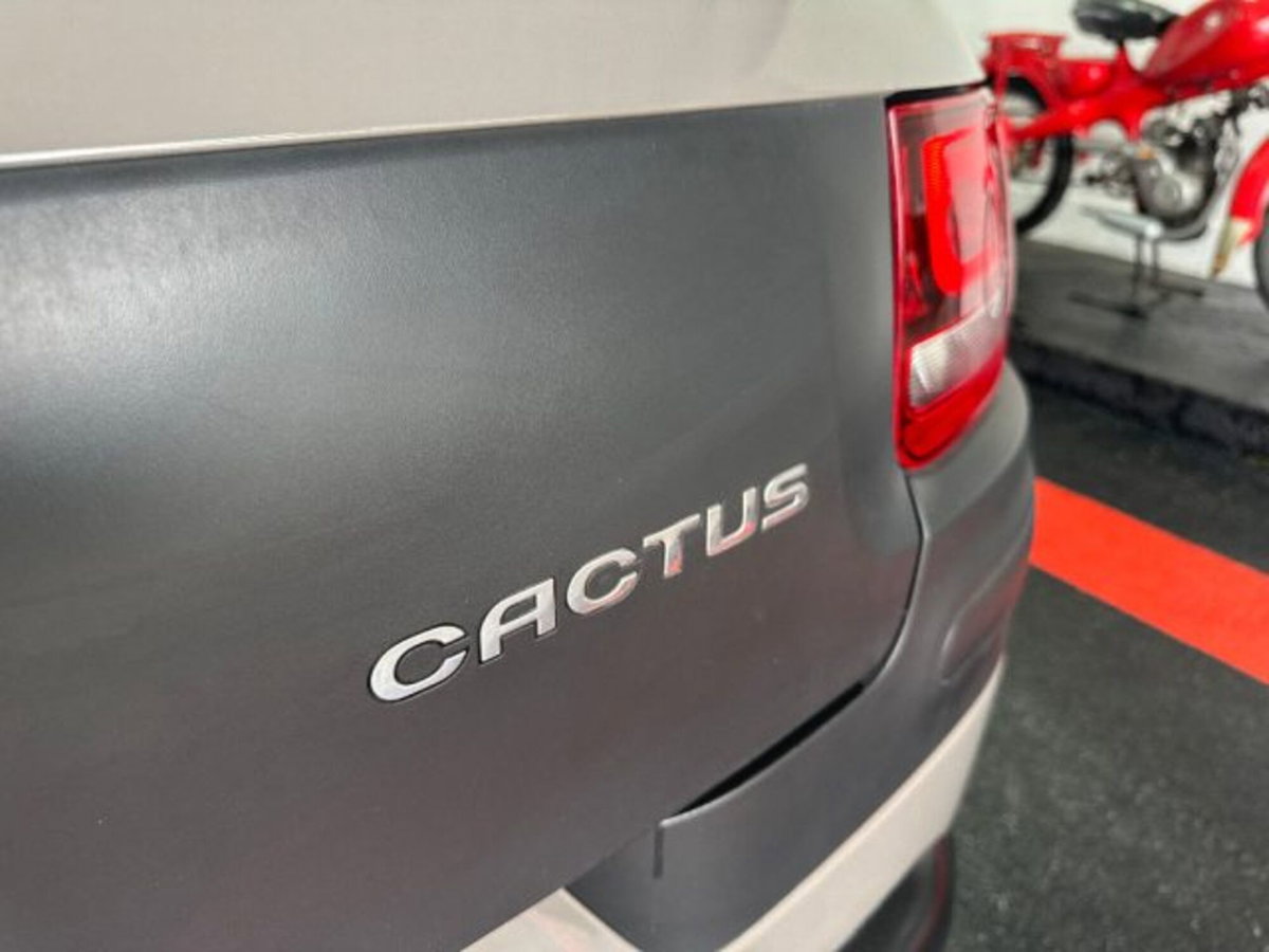 Citroen C4 Cactus BlueHDi 100 Rip Curl (15)