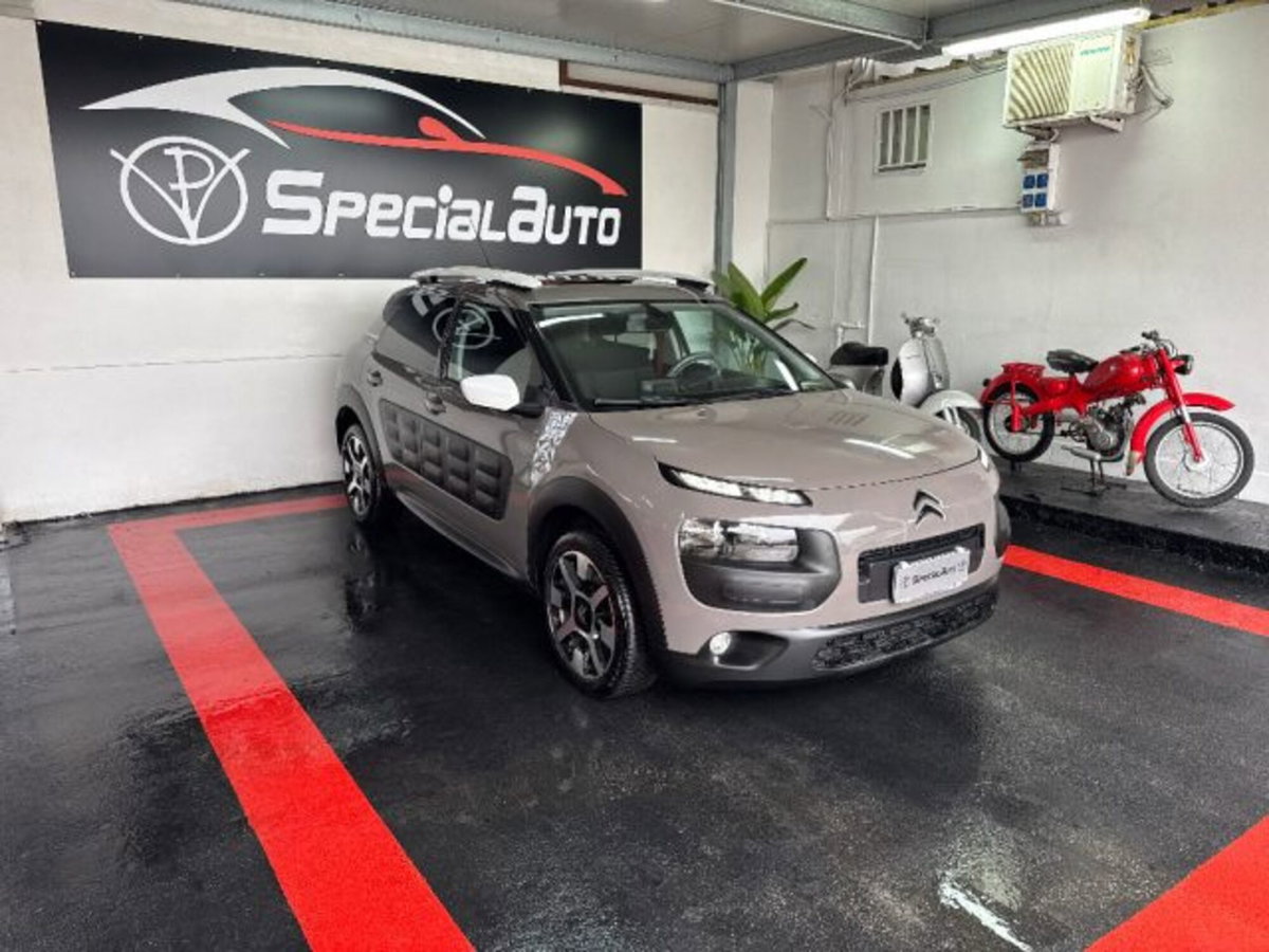 Citroen C4 Cactus BlueHDi 100 Rip Curl (2)