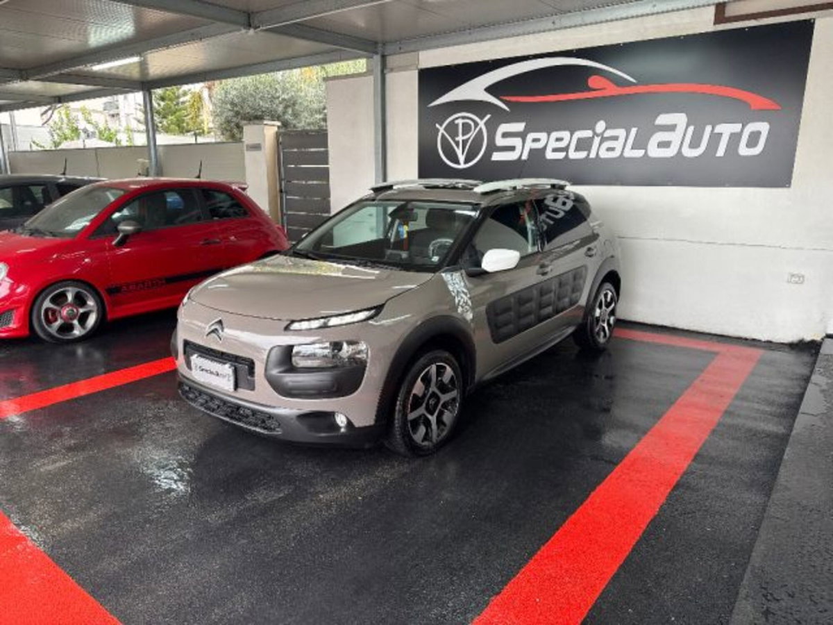 Citroen C4 Cactus BlueHDi 100 Rip Curl (3)