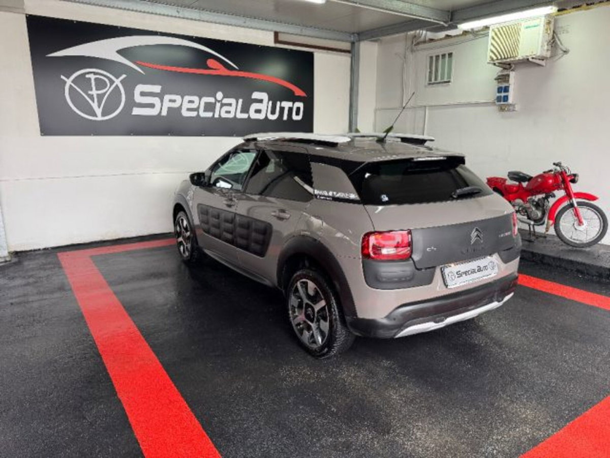 Citroen C4 Cactus BlueHDi 100 Rip Curl (4)