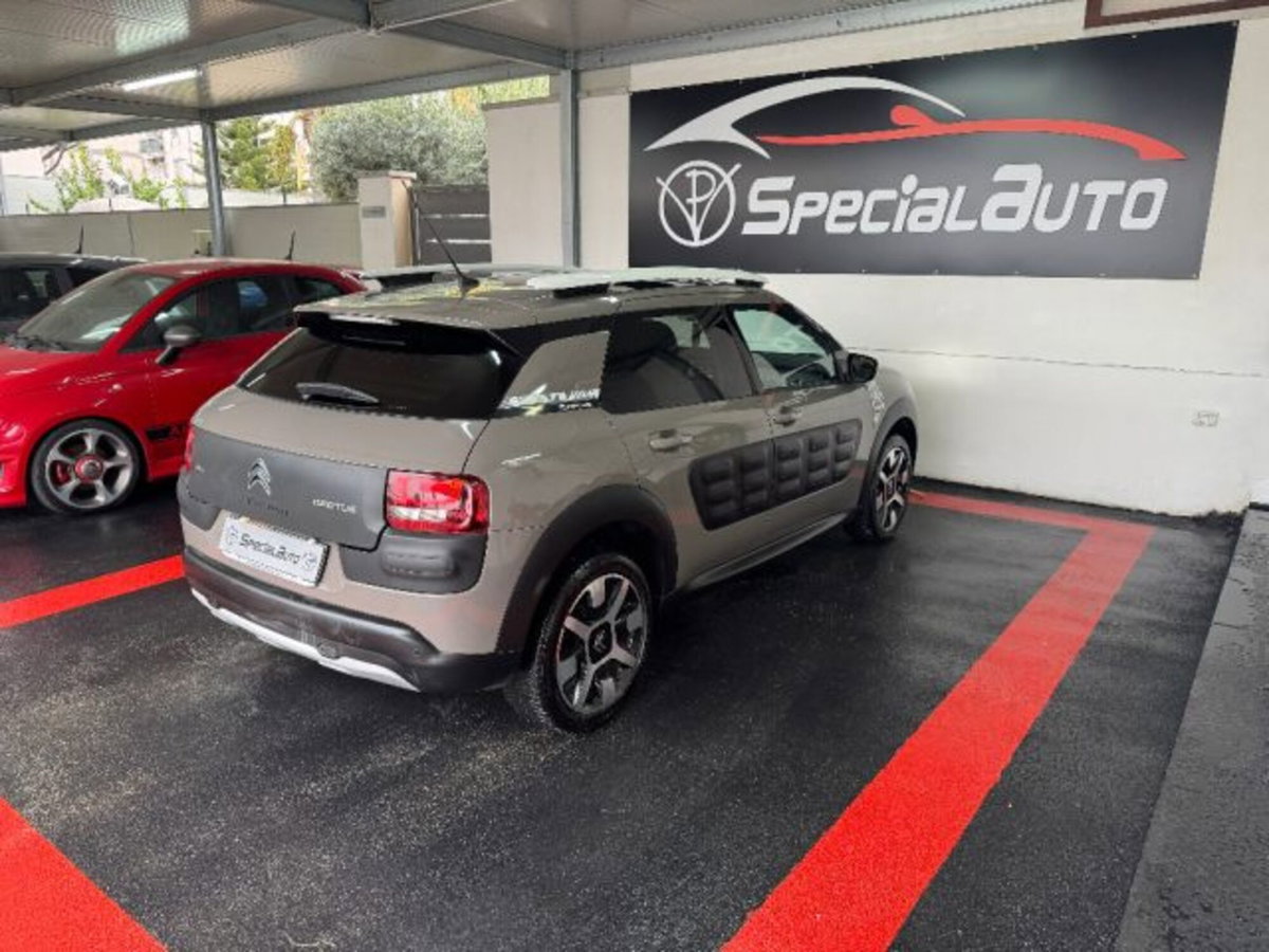 Citroen C4 Cactus BlueHDi 100 Rip Curl (5)