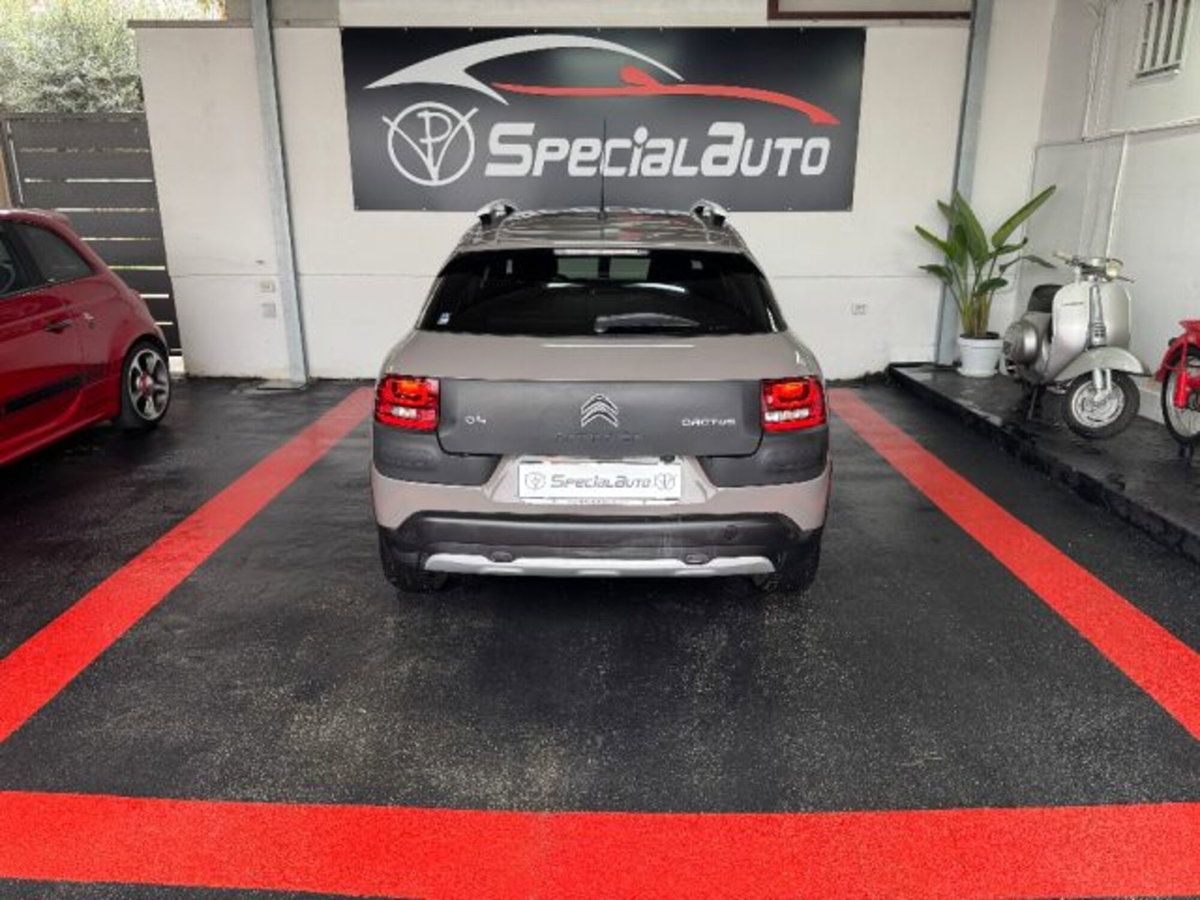 Citroen C4 Cactus BlueHDi 100 Rip Curl (6)