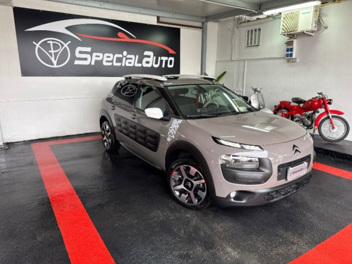 Citroen C4 Cactus BlueHDi 100 Rip Curl (7)