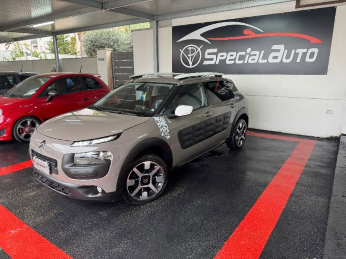 Citroen C4 Cactus BlueHDi 100 Rip Curl (8)