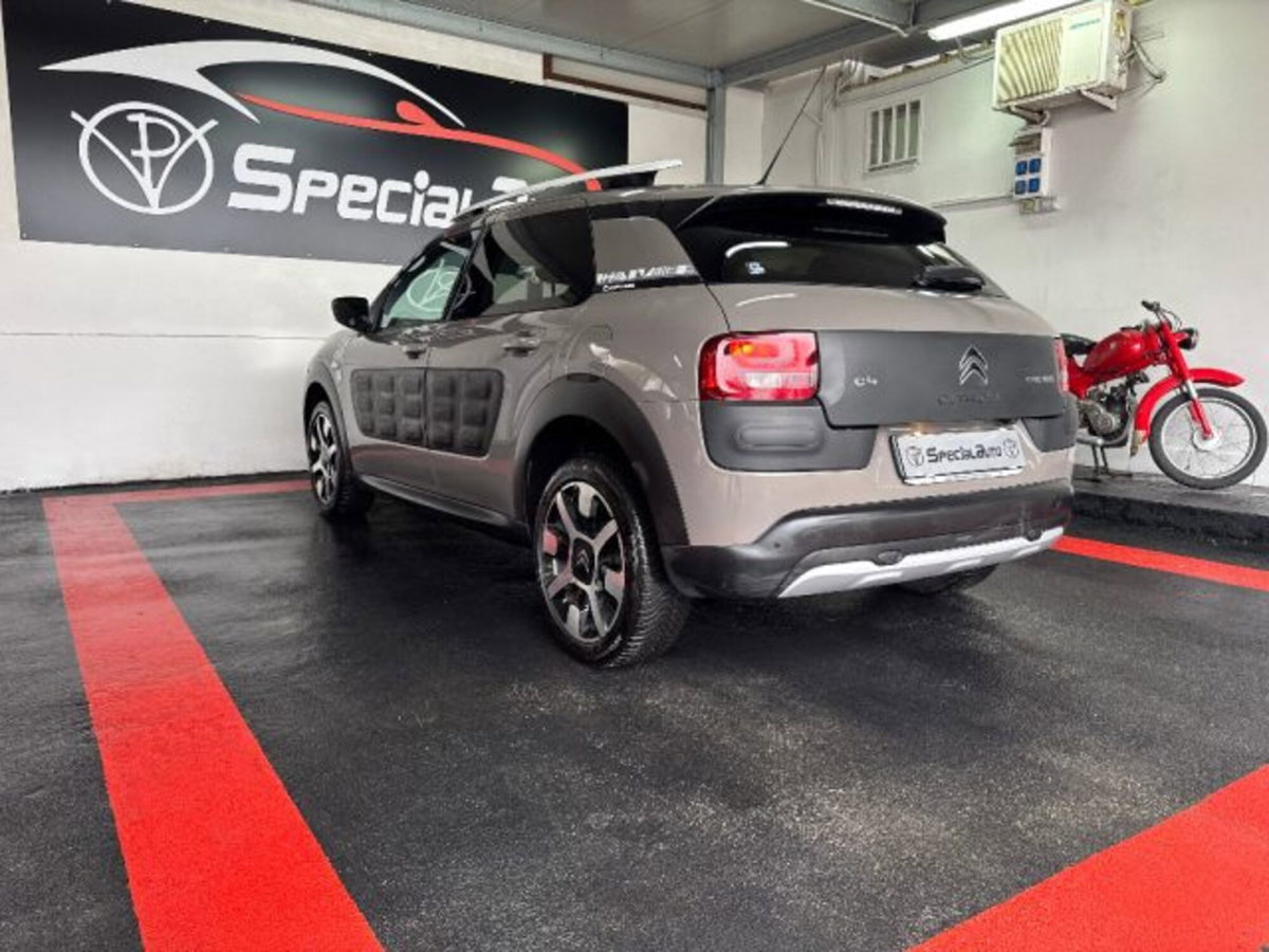 Citroen C4 Cactus BlueHDi 100 Rip Curl (9)