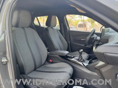 Peugeot 2008 PureTech 100 S&S Allure (12)
