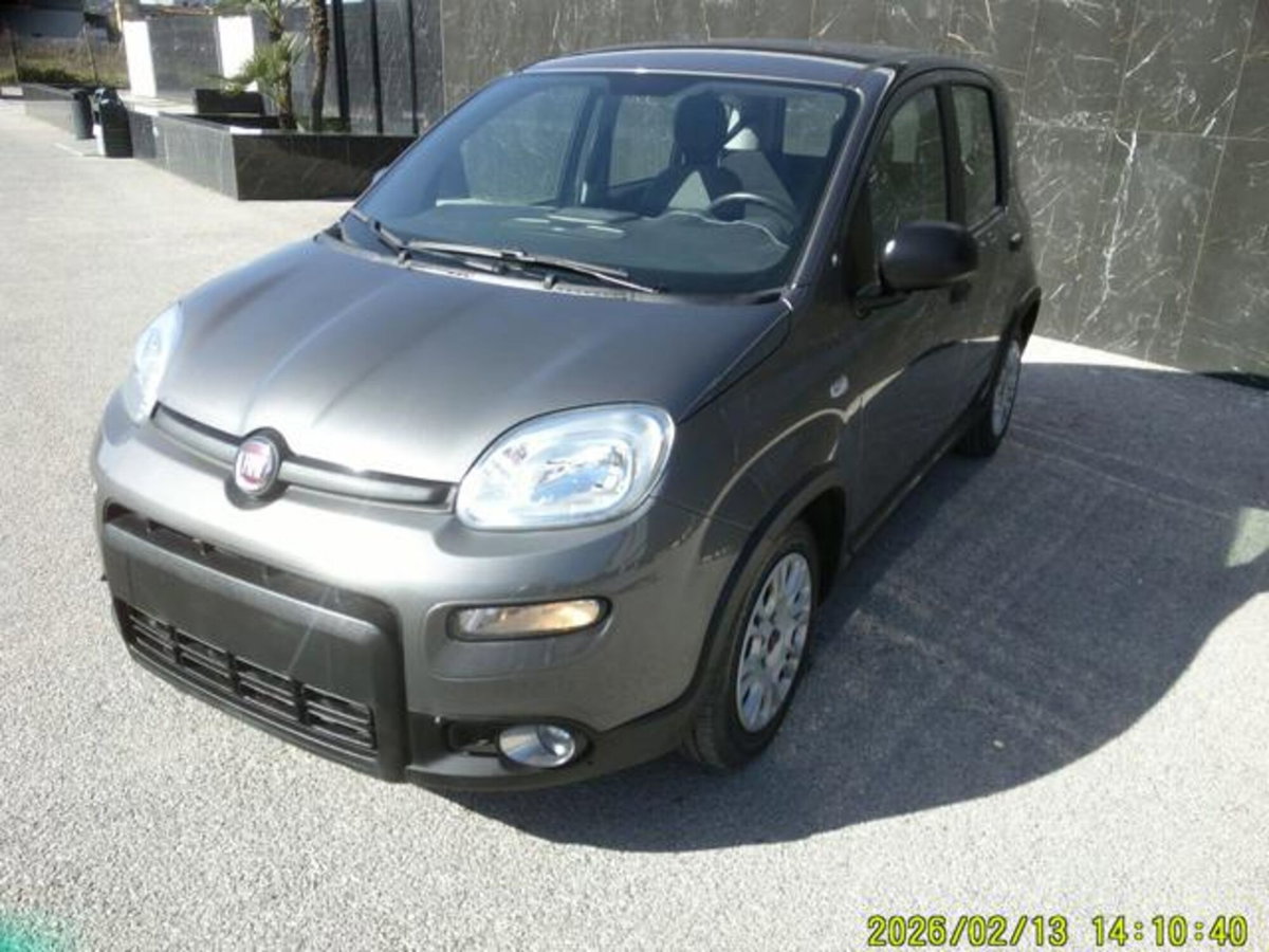 Fiat Panda 1.0 firefly hybrid s&s 70cv 5p.ti (12)