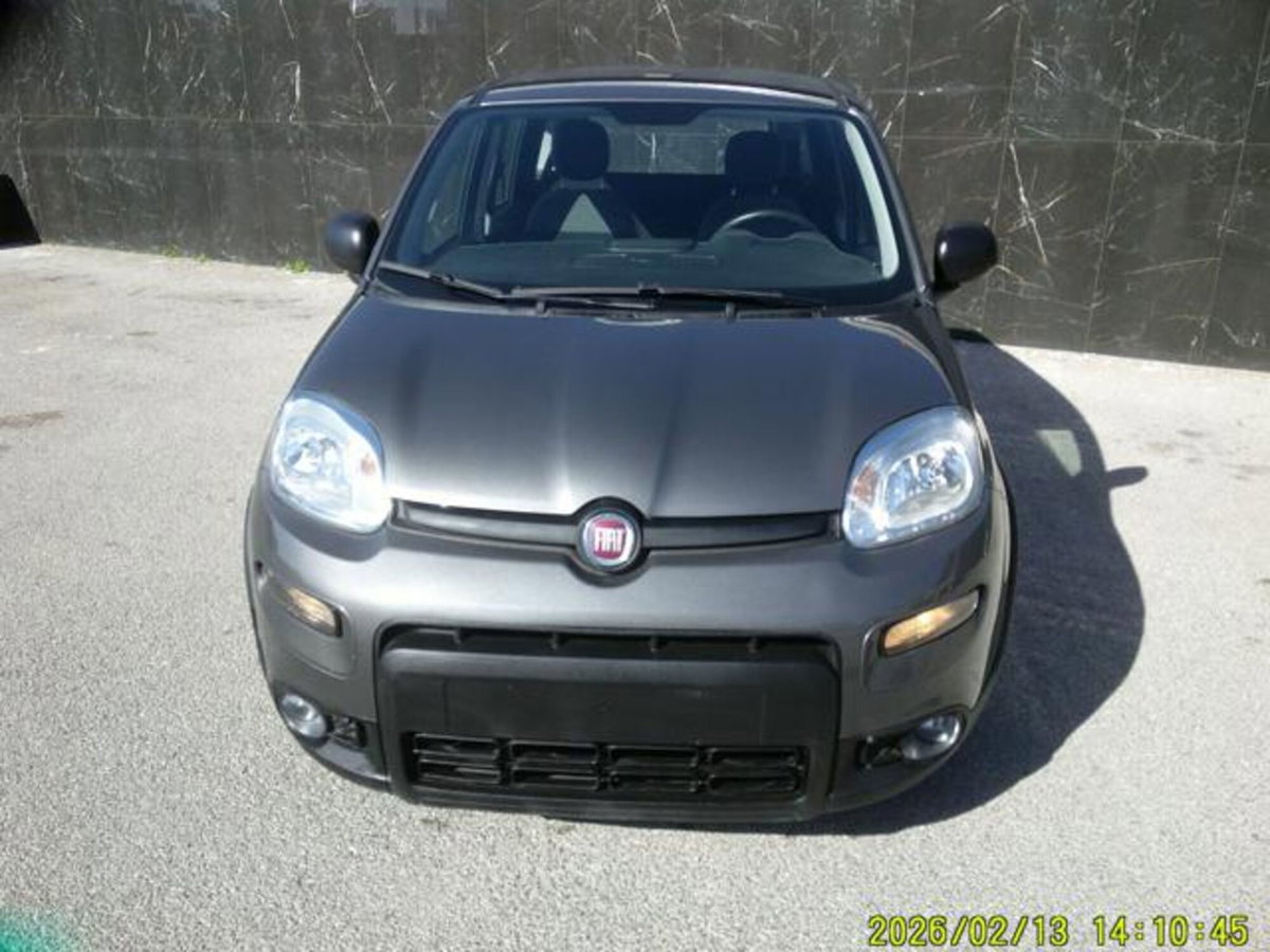Fiat Panda 1.0 firefly hybrid s&s 70cv 5p.ti (13)