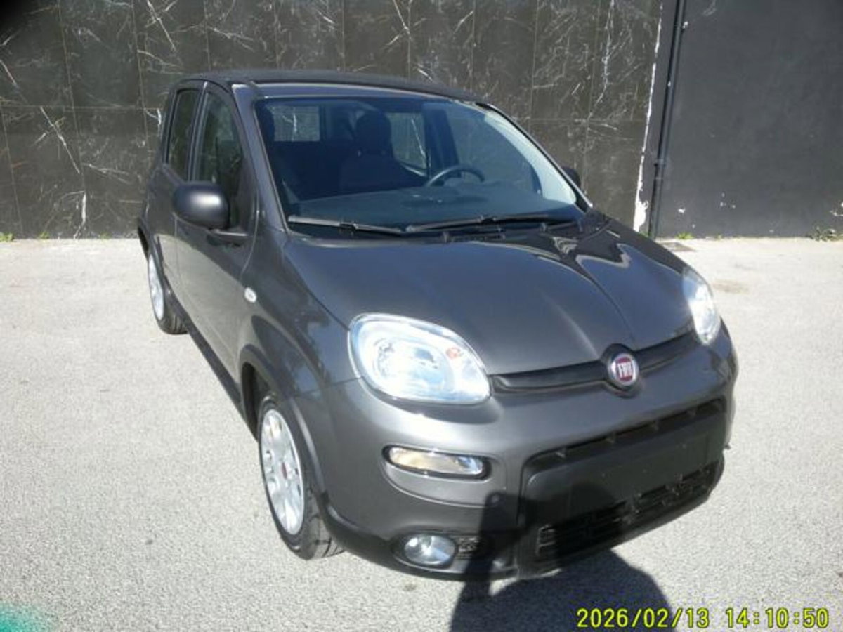Fiat Panda 1.0 firefly hybrid s&s 70cv 5p.ti (14)
