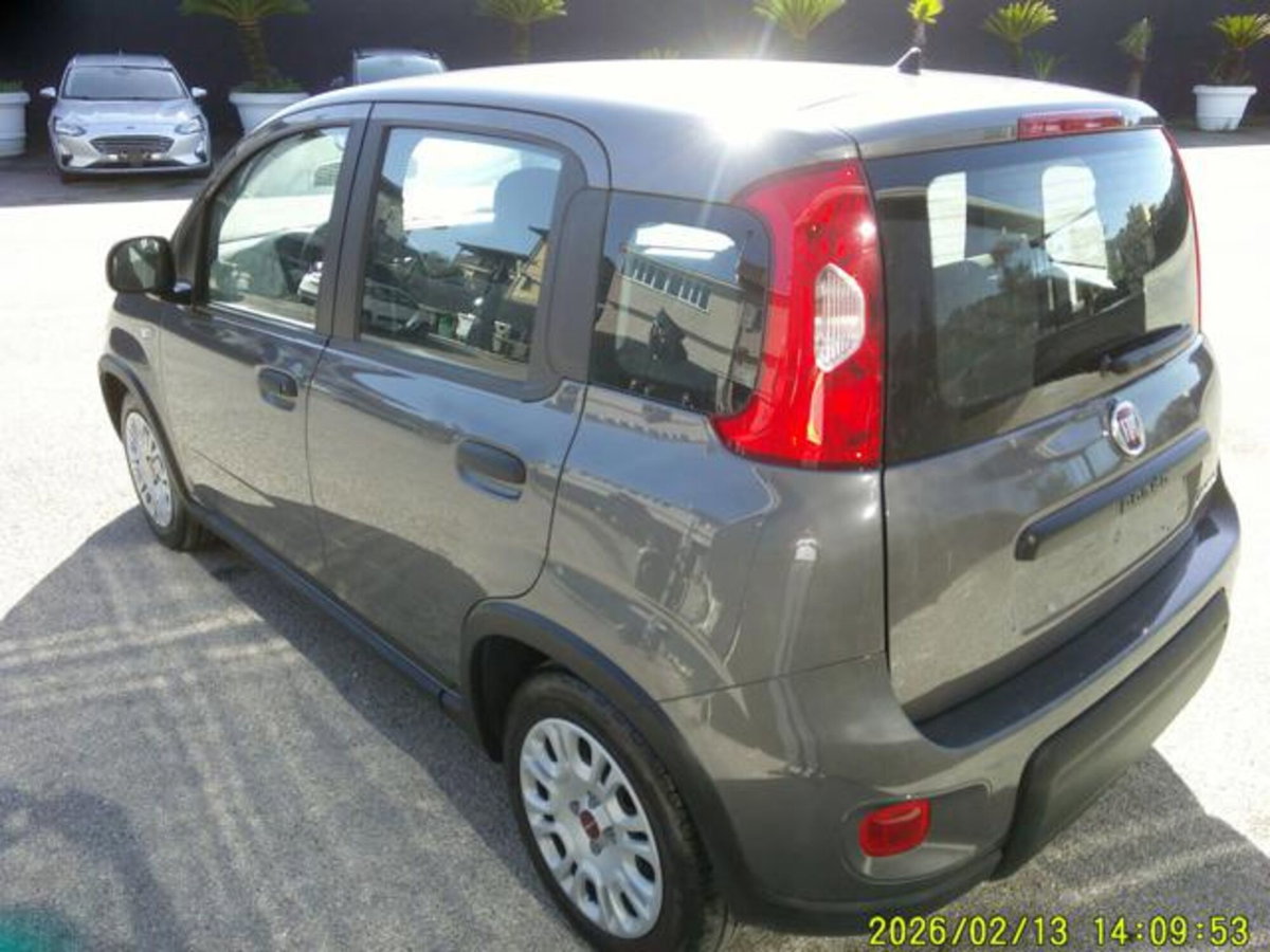 Fiat Panda 1.0 firefly hybrid s&s 70cv 5p.ti (6)