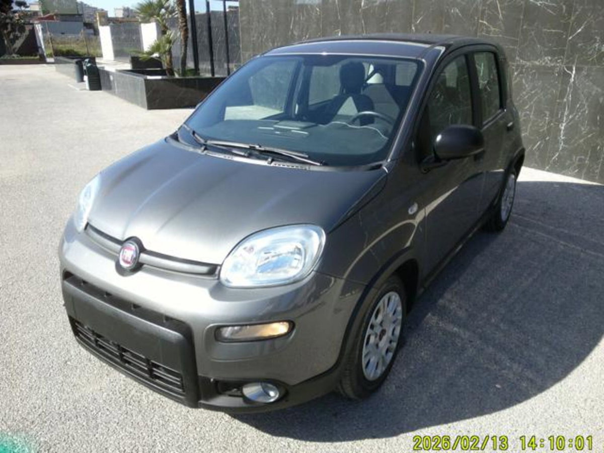 Fiat Panda 1.0 firefly hybrid s&s 70cv 5p.ti (7)