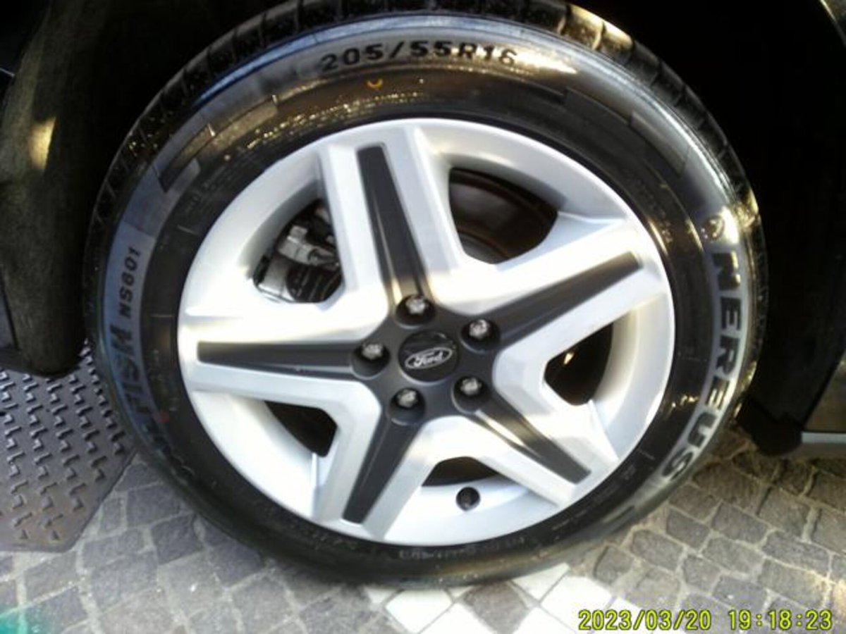 Ford Focus Station Wagon 1.5 EcoBlue 120 CV SW Business (14)